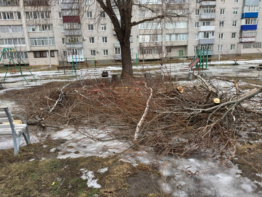 Субботник в нашем районе!