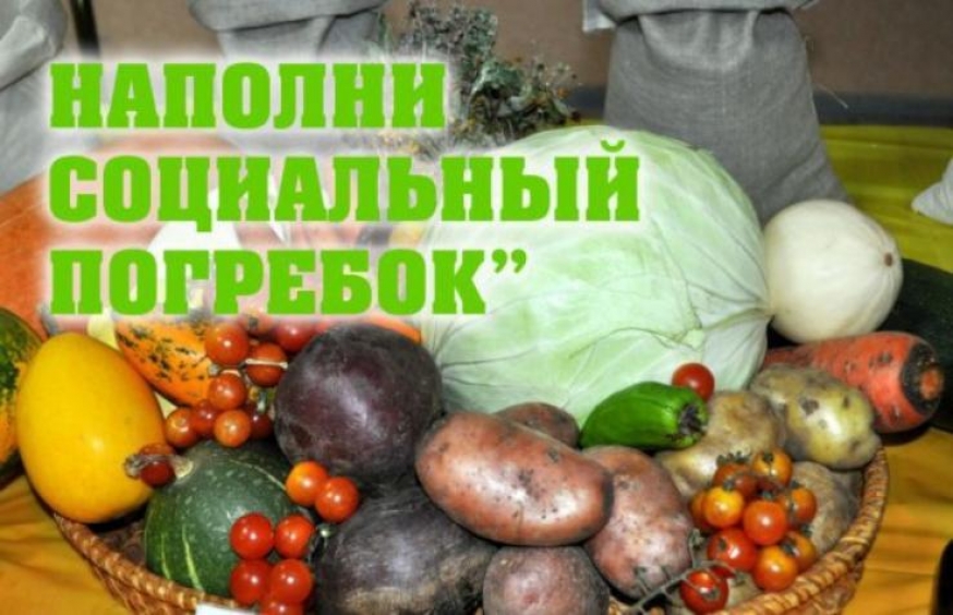 Осенняя акция «Социальный погребок» в клубе «Володарец»! Успейте помочь до 30 сентября!