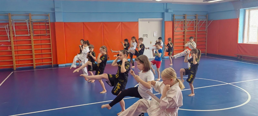 Подготовка к экзамену по карате &mdash; сдача на пояс