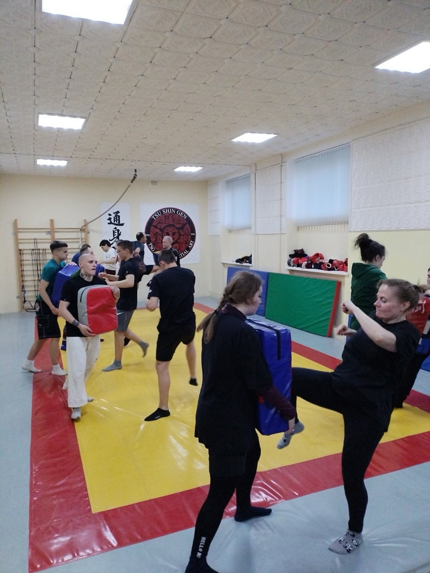 Комплексный бой ТСУ ШИН ГЕН